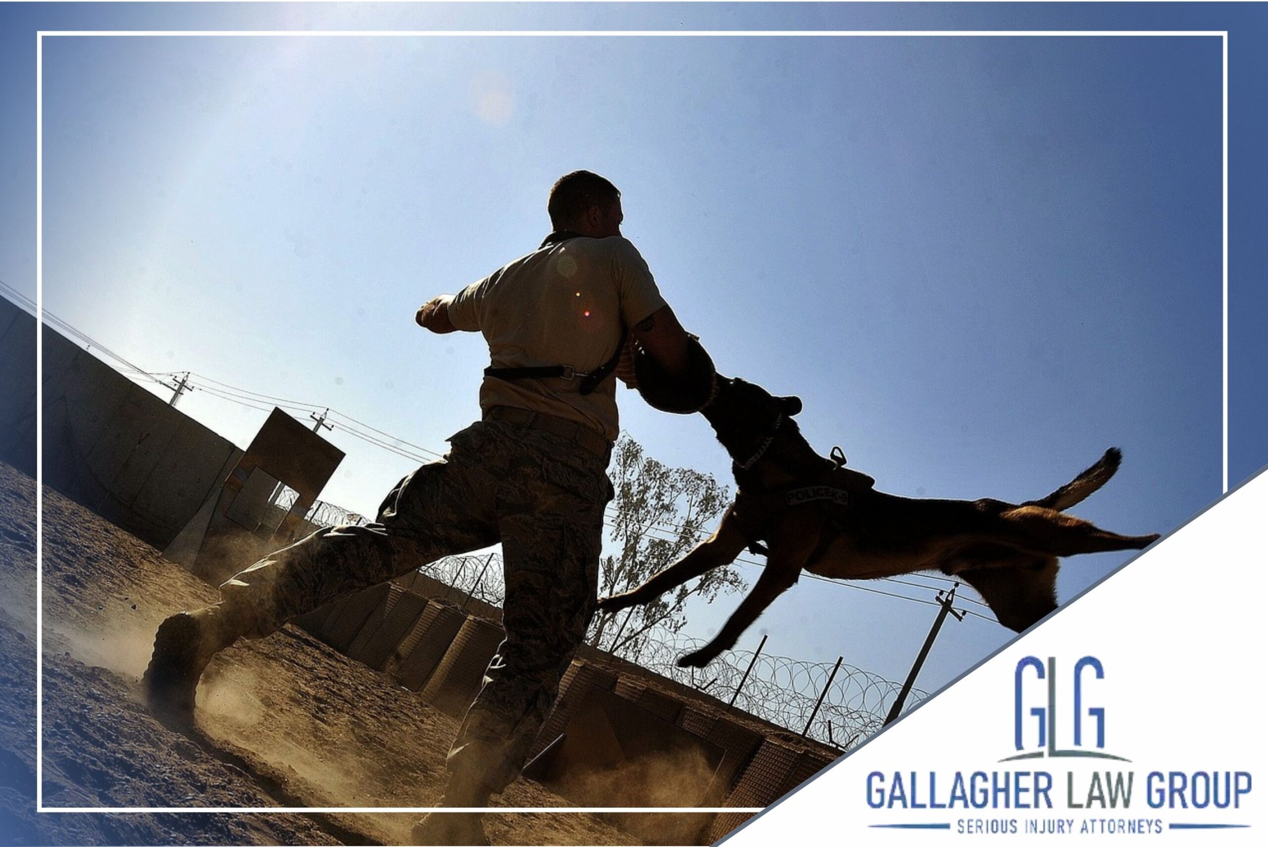 Dog Bite Accident Lawyer